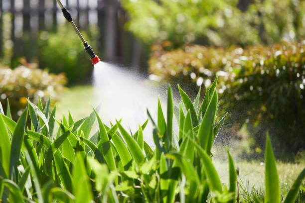 24/7 Emergency Ant Control experts in Tye, TX