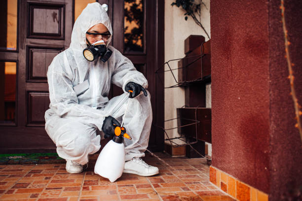 Reliable Ant Control contractor in Tye, TX by Show Me Pest Control